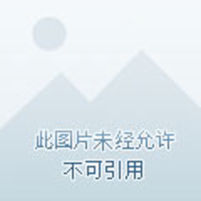 兰婆婆蓬蓬面:传统与创新的碰撞